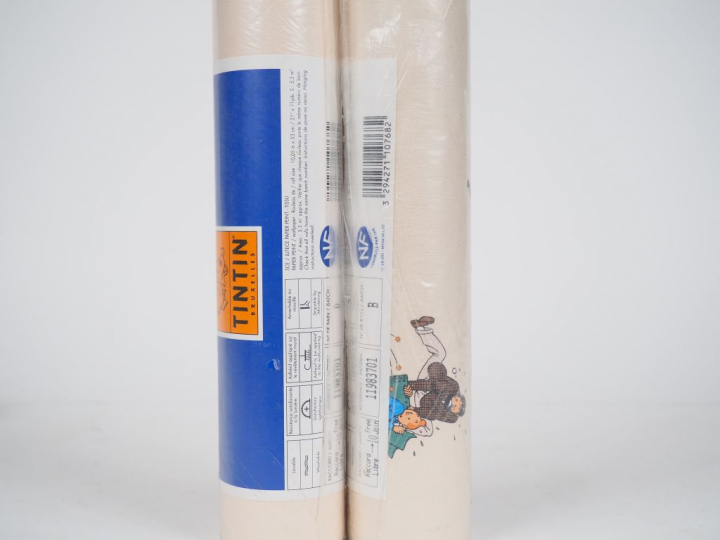 LOT de 10 rouleaux représentant les personnages Album "Les 7 boules de