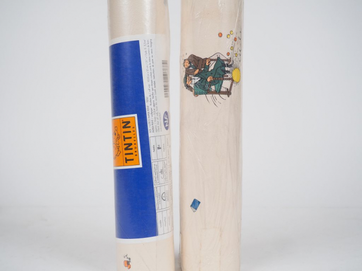 LOT de 6 rouleaux représentant les personnages Album "Les 7 boules de 