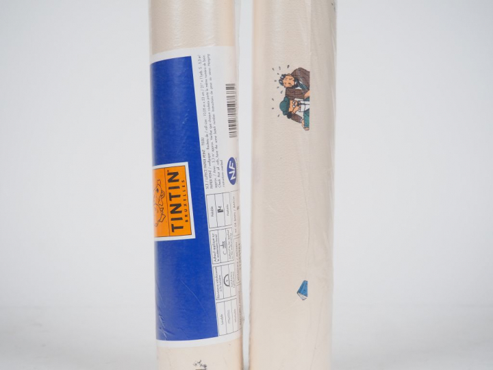 LOT de 10 rouleaux représentant les personnages Album "Les 7 boules de