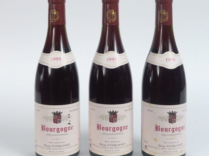 3 BOUTEILLES BOURGOGNE G. COQUARD - 1995 - 0,5CM