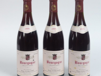 Vente aux enchères 3 BOUTEILLES BOURGOGNE G. COQUARD - 1995 - 0,5CM