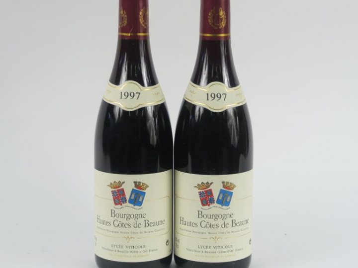 2 BOUTEILLES BOURGOGNE HAUTES CÔTES DE BEAUNE LYCÉE VITICOLE BEAUNE - 