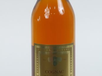1 BOUTEILLE COGNAC BARON DELATOUR 