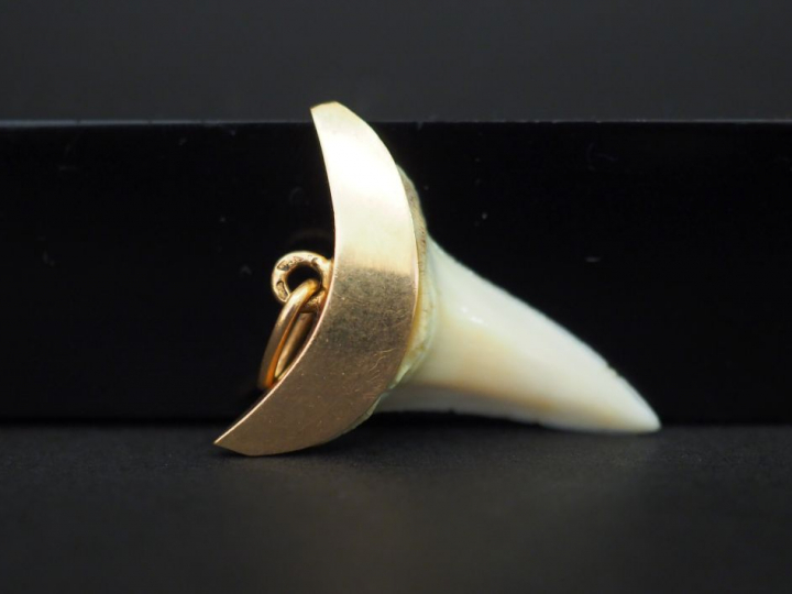 Pendentif griffe d'animal monture or. Poids tel : 3,07 g