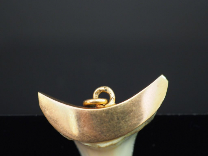 Pendentif griffe d'animal monture or. Poids tel : 3,07 g