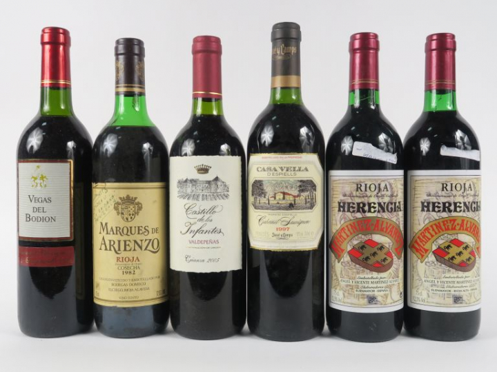 6 BOUTEILLES VINS ESPAGNOLS