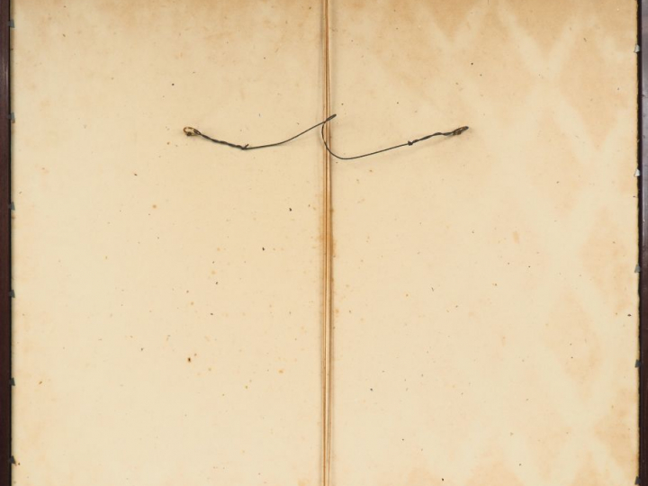 TU DUYEN "Bouquet de roses dans un vase" Aquarelle sur soie, signée en