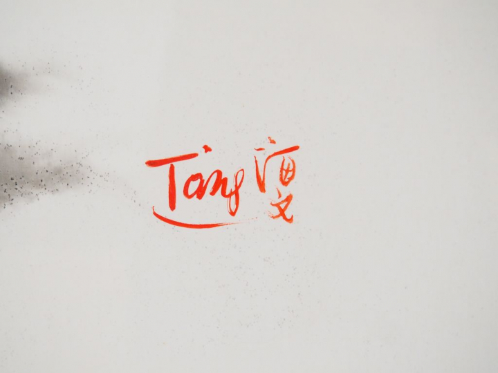 T'ANG Haywen.  "composition abstraite" Encre sur papier, signée en bas