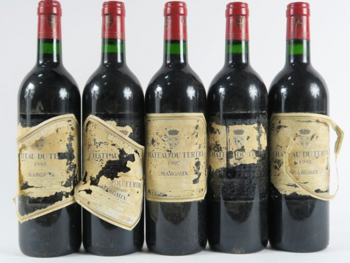 5 BOUTEILLES CHÂTEAU DU TERTRE MARGAUX - 1995 - BG/ETA