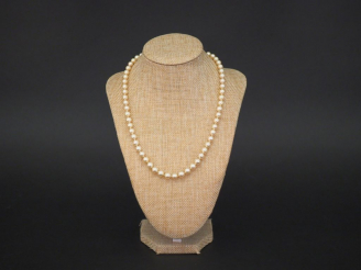 Vente aux enchères Collier de perles de culture. Fermoir en or jaune. Long. 47,5 cm