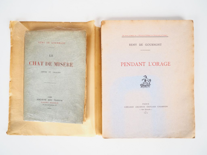 GOURMONT (Rémy de). Le chat de misère. Idées et Images. Paris, Messein