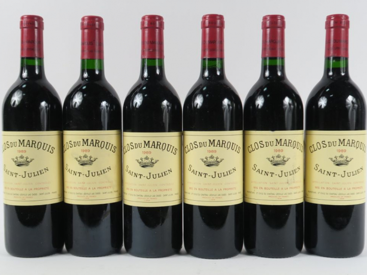 6 BOUTEILLES CLOS DU MARQUIS ST JULIEN - 1989