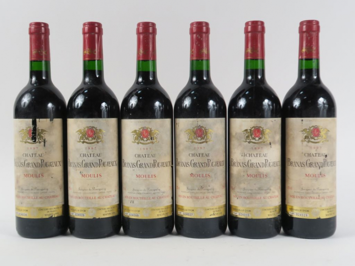 6 BOUTEILLES CHÂTEAU GRAND BRANAS GRAND POUJEAUX MOULIS - 1997 - ELF