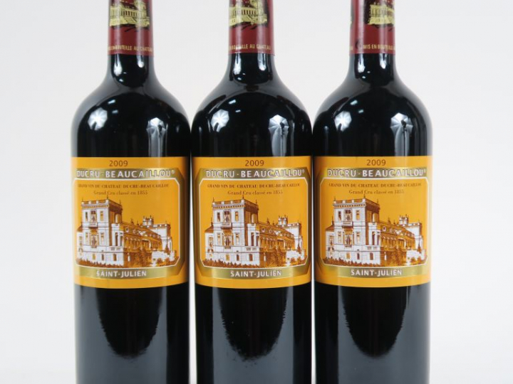 3 BOUTEILLES CHÂTEAU DUCRU BEAUCAILLOU GCC ST JULIEN - 2009