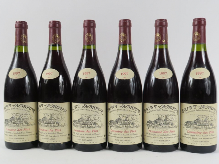 6 BOUTEILLES SAINT AMOUR DOMAINE DES PINS - 1997