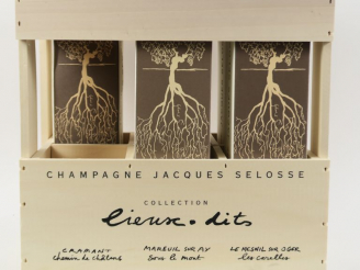 Vente aux enchères 5 BOUTEILLES CHAMPAGNE JACQUES SELOSSE 'COLLECTION LIEUX DITS' : 1 CRA