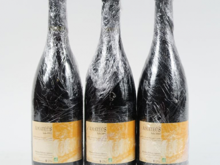 3 BOUTEILLES SAUMUR CHAMPIGNY 'AMATÉÜS BOBI' SEBASTIEN BOBINET - 2007