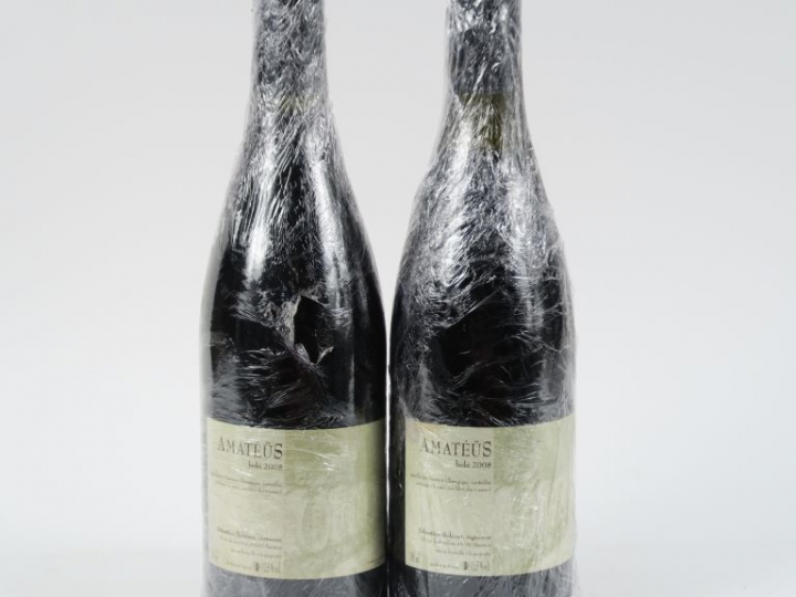 2 BOUTEILLES SAUMUR CHAMPIGNY 'AMATÉÜS BOBI' SEBASTIEN BOBINET - 2008