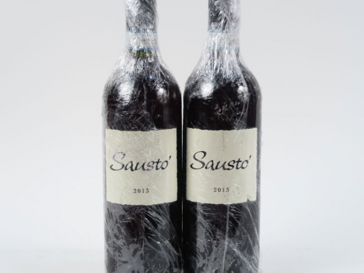 2 BOUTEILLES VALPOLICELLA MONTE DALL'ORO SAUSTO - 2013