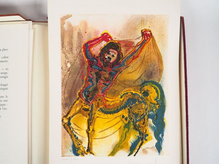 LES CHEVAUX DE DALI.  Textes : Alain Decaux et Léon Zitrone. Préface Y