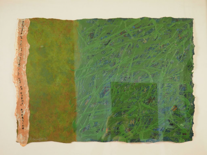 Peter GRIFFIN. "Two many names, demasiados nombres". Technique mixte s