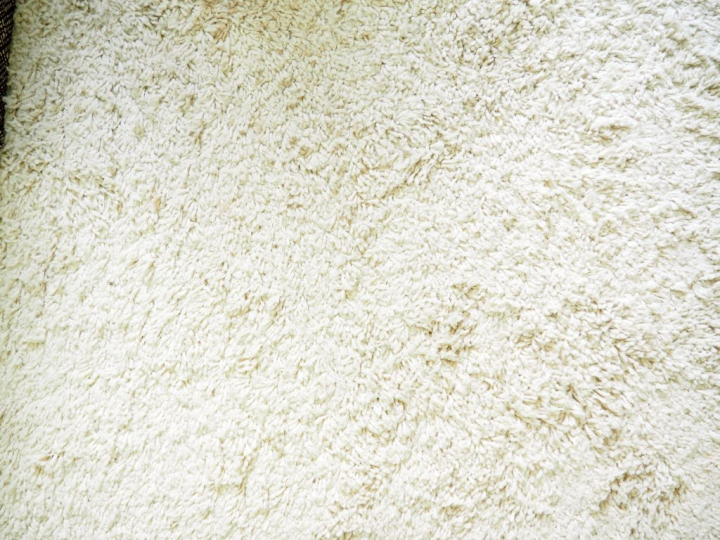 Tapis moderne de couleur crème. Dim. 366 x 303 cm.