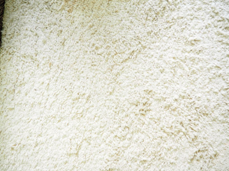 Vente aux enchères Tapis moderne de couleur crème. Dim. 366 x 303 cm.