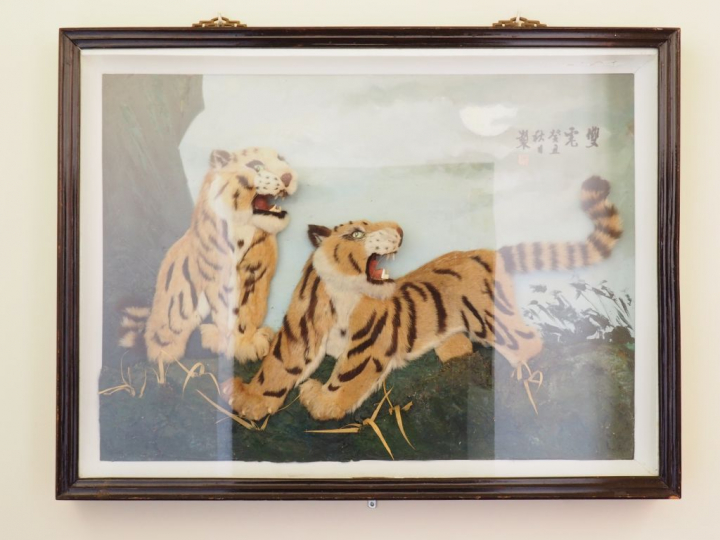 Ecole chinoise XXème. "Les tigres". Technique mixte signée. Dim. 71 x 