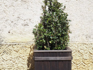 Vente aux enchères Paire de grandes jardinières en bois Dim. 83 x 75 x 75 cm.