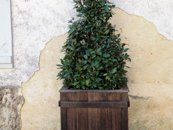 Paire de grandes jardinières en bois Dim. 83 x 75 x 75 cm.