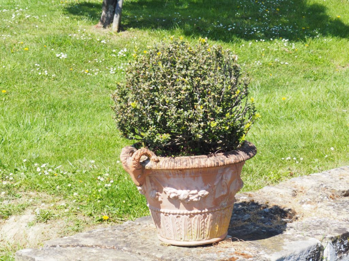 4 jardinières en terre cuite à décor de têtes de béliers en relief. Di