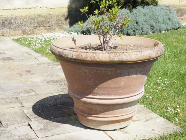 2 grandes jardinières en terre cuite. Dim. 68 x 86 cm.