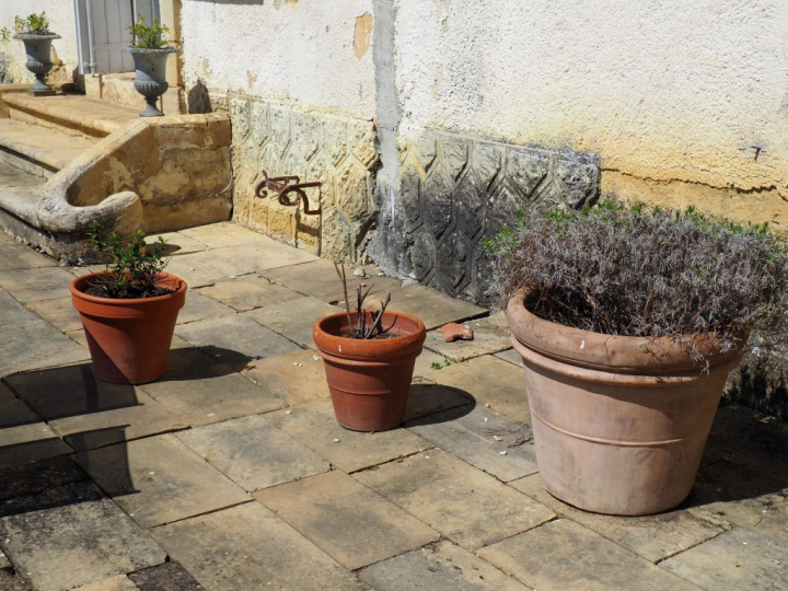 Suite de 6 grands pots de fleurs en terre cuite.