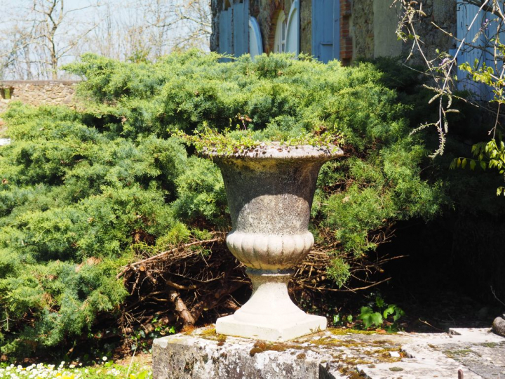 Suite de 6 vases Medicis en ciment. Dim. 66 x 52 cm. (Un cassé restaur