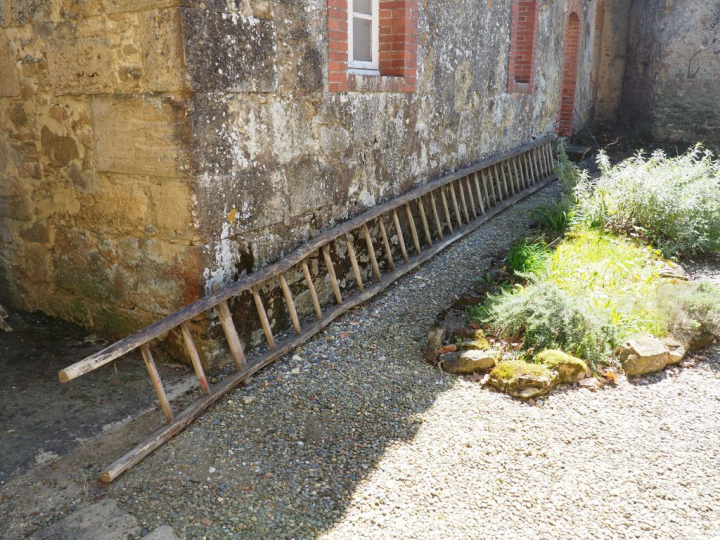 Grande échelle rustique en bois H. 8,45 m