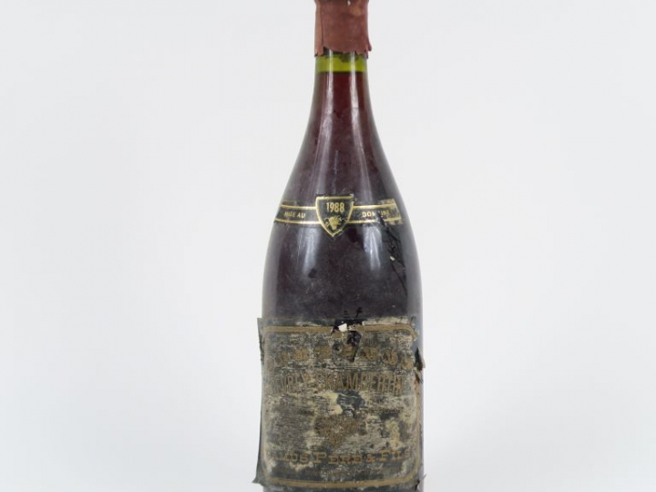 1 MAGNUM GEVREY CHAMBERTIN GC CAMUS PÈRE   FILS - 1988 - EA/CAPS CIRE 