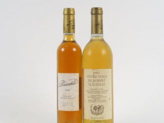 Vente aux enchères 2 BOUTEILLES PLAGEOLLES : 1 VIN DE VOILE 1983 - 1 MUSCADELLE 2006 (50 