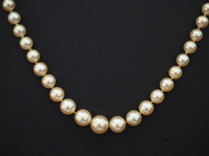 Collier de perles disposées en chute. Fermoir en or jaune. Chainette d