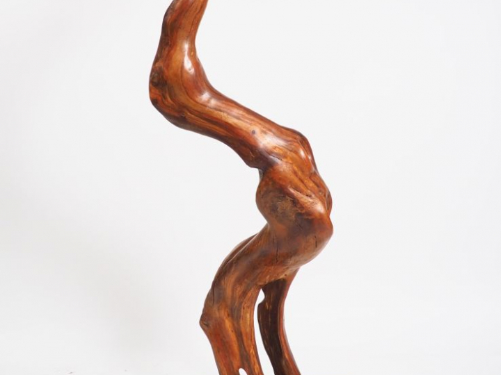 Grand bois flotté vernis. H. 260 cm