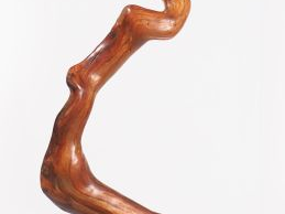 Grand bois flotté vernis. H. 260 cm