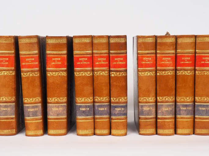 BUFFON. Œuvres complètes. Avec la nomenclature linnéenne et la classif