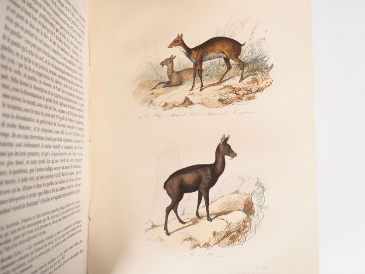 BUFFON. Œuvres complètes. Avec la nomenclature linnéenne et la classif