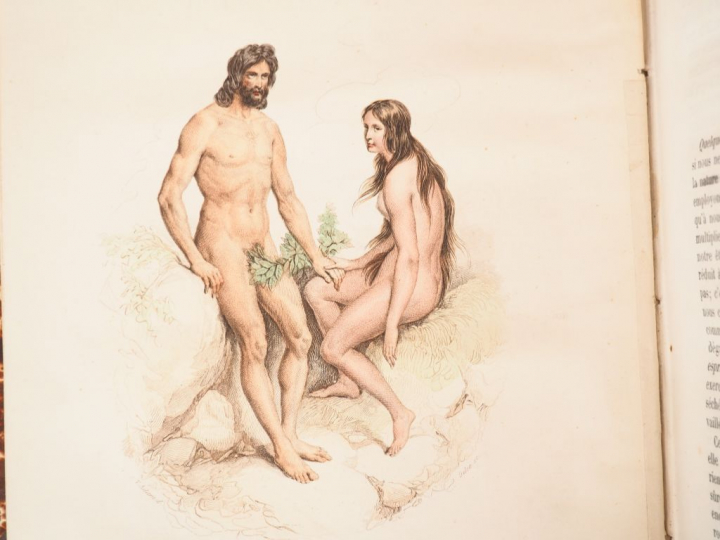 BUFFON. Œuvres complètes. Avec la nomenclature linnéenne et la classif