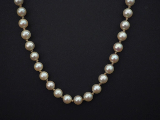 Vente aux enchères Sautoir en perles de culture blanches.  Fermoir en or jaune.  Chainett