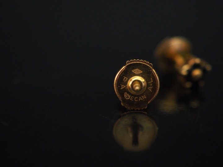 Paire de puces d’oreilles en or jaune en forme de fleur sertie de peti