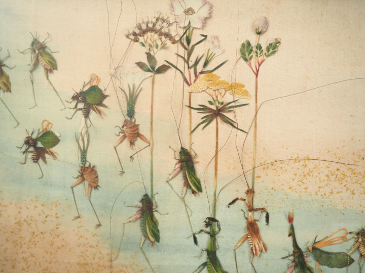 Composition figurant des criquets, des mantes religieuses et des abeil