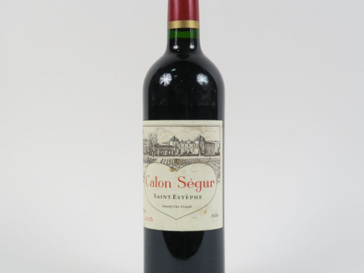 1 BOUTEILLE CHÂTEAU CALON SEGUR GCC ST ESTEPHE - 2005