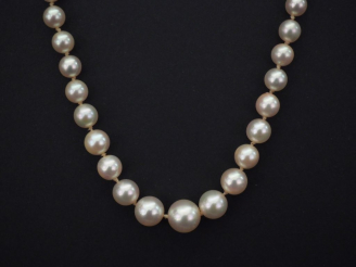 Vente aux enchères Collier de perles blanches disposées en chute.  Fermoir en or jaune, à