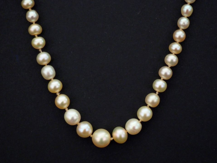 Collier de perles blanches disposées en chute.  Fermoir en or jaune, s