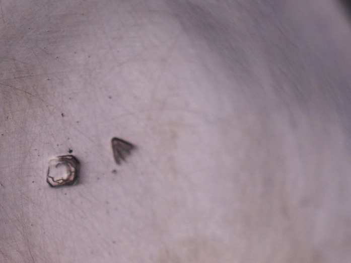 Théière et cafetière Napoléon III de style rocaille en argent, poinçon